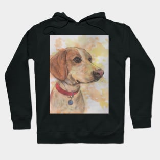 Beagle Hoodie